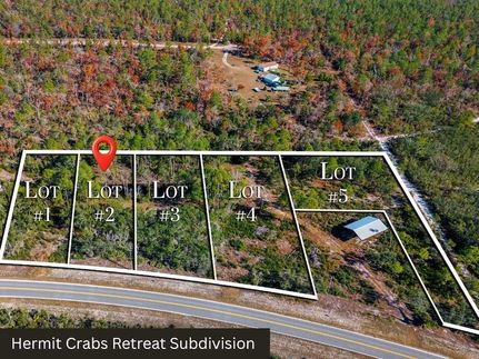 Undeveloped Land for sale in Taylor County, Florida