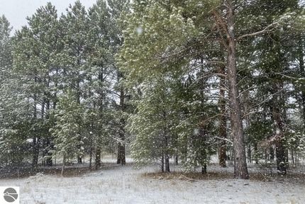 Land for sale in Kalkaska County, Michigan