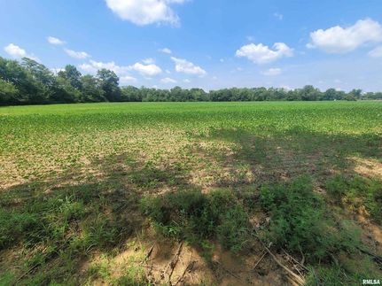 Farm and Ranch for sale in Hamilton County, Illinois