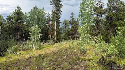 Undeveloped Land for sale in Gilpin County, Colorado