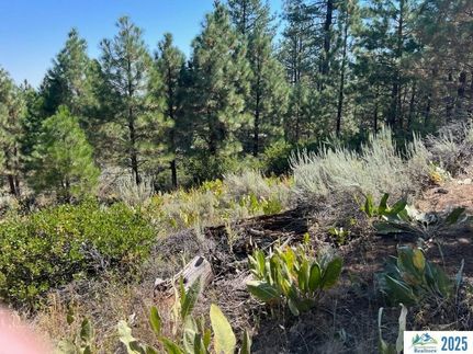 Land for sale in Modoc County, California