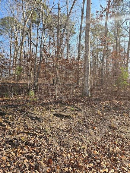 Land for sale in Walker County, Alabama