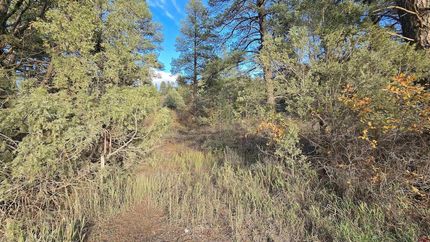 Undeveloped Land for sale in Archuleta County, Colorado