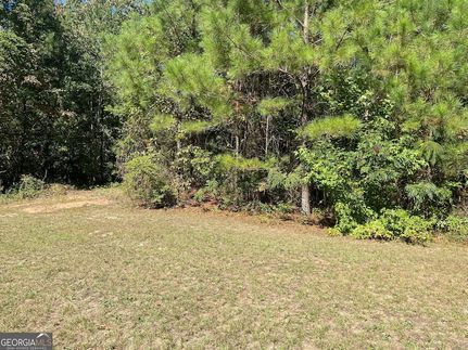 Land for sale in Houston County, Georgia