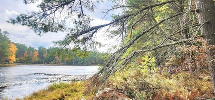 Recreational Property for sale in Sullivan County, New York