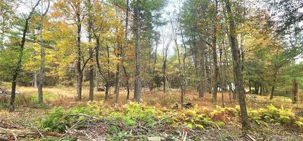 Recreational Property for sale in Sullivan County, New York