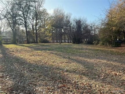 Land for sale in Dunklin County, Missouri