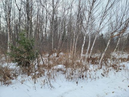 Land for sale in Sawyer County, Wisconsin