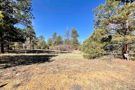 Homesite for sale in Ouray County, Colorado
