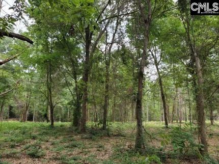 Land for sale in Lexington County, South Carolina