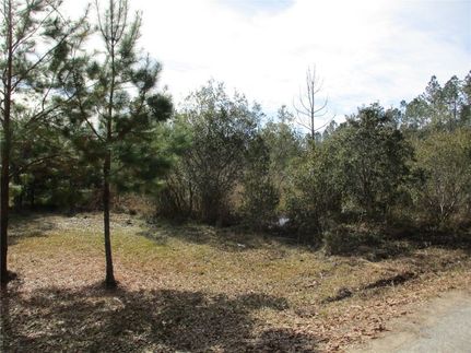 Homesite for sale in Nassau County, Florida