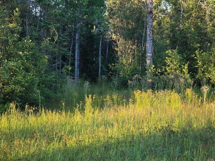 Timberland Property for sale in Chippewa County, Michigan
