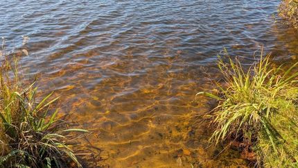 Recreational Property for sale in Itasca County, Minnesota