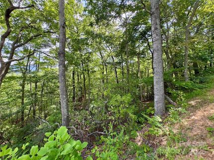 Land for sale in Buncombe County, North Carolina