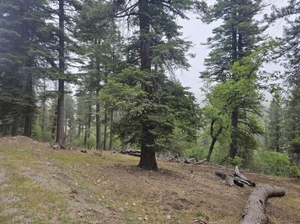 Land for sale in Otero County, New Mexico