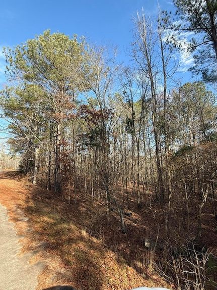Land for sale in Edgefield County, South Carolina