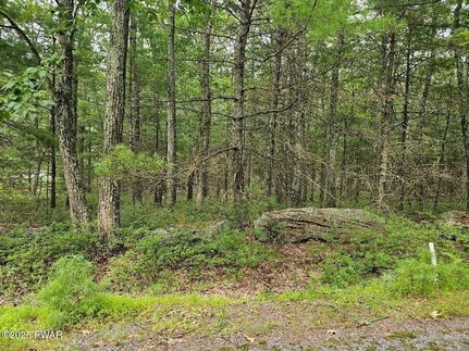 Land for sale in Pike County, Pennsylvania