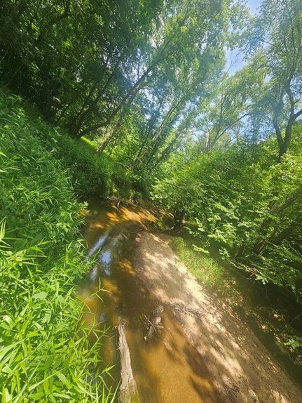 Land for sale in Lunenburg County, Virginia