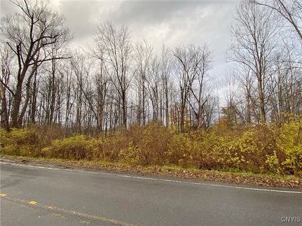Land for sale in Oneida County, New York