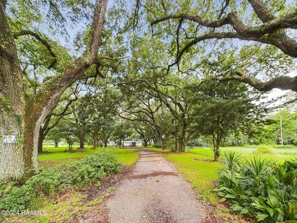 Land for sale in Vermilion Parish, Louisiana