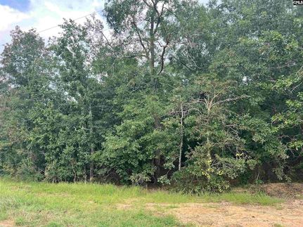 Land for sale in Lexington County, South Carolina