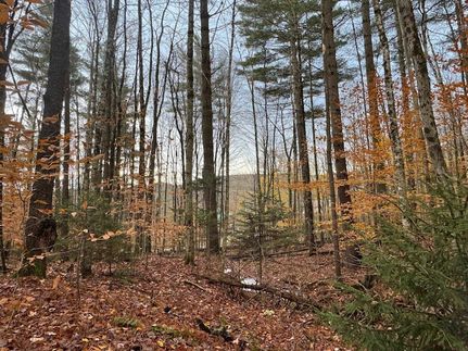 Recreational Property for sale in Washington County, Vermont