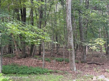 Homesite for sale in Monroe County, Pennsylvania