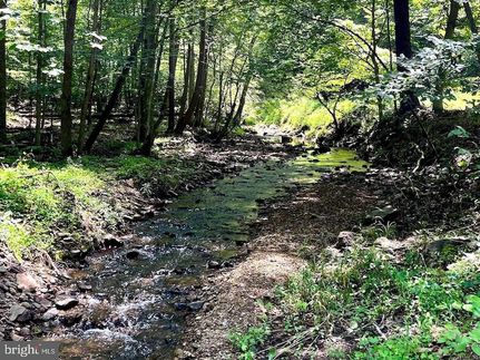 Land for sale in Clarke County, Virginia