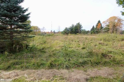 Undeveloped Land for sale in Huron County, Michigan