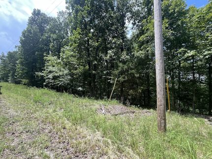 Land for sale in Stewart County, Tennessee