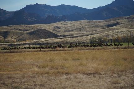 Land for sale in Park County, Wyoming