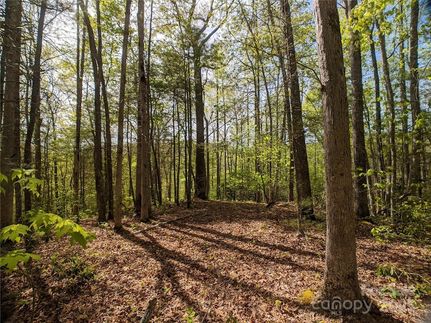 Land for sale in Madison County, North Carolina