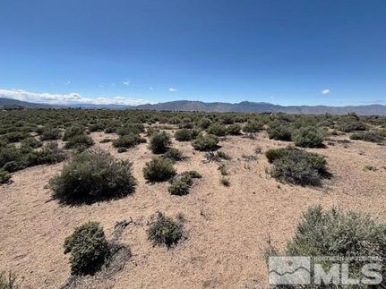 Timberland Property for sale in Lyon County, Nevada