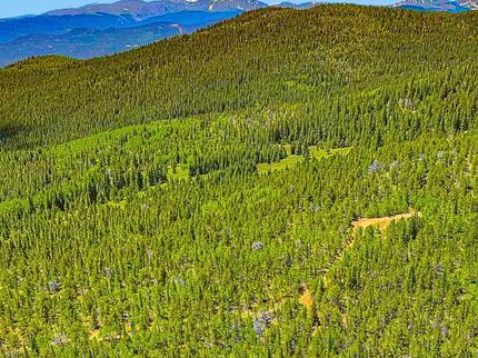Land for sale in Gilpin County, Colorado