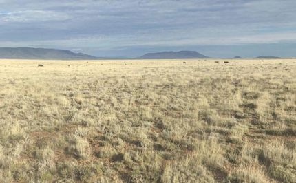 Land for sale in Costilla County, Colorado