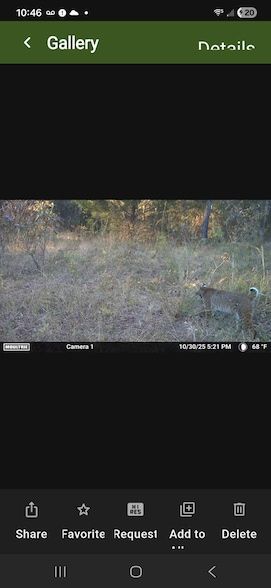 Undeveloped Land for sale in Pushmataha County, Oklahoma