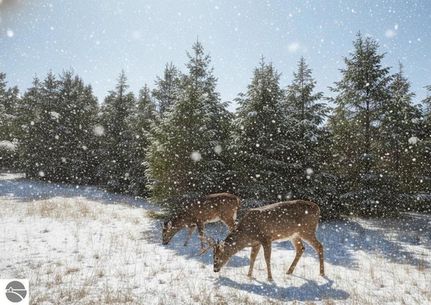 Land for sale in Grand Traverse County, Michigan