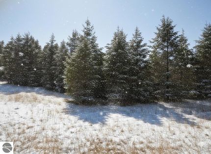 Undeveloped Land for sale in Wexford County, Michigan