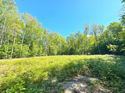 Land for sale in Chippewa County, Michigan