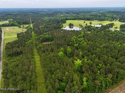 Land for sale in Lauderdale County, Mississippi