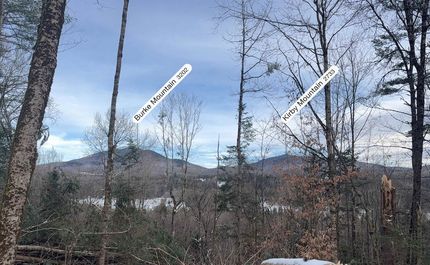 Undeveloped Land for sale in Caledonia County, Vermont