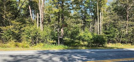 Undeveloped Land for sale in Sullivan County, New York