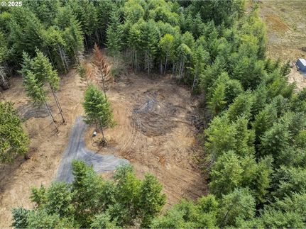 Homesite for sale in Cowlitz County, Washington