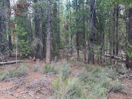 Land for sale in Klamath County, Oregon