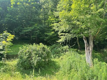 Land for sale in Nicholas County, West Virginia