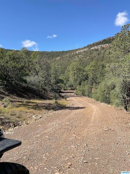 Undeveloped Land for sale in Grant County, New Mexico