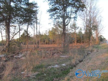 Undeveloped Land for sale in Marshall County, Alabama