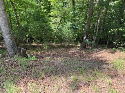 Land for sale in Union County, Georgia
