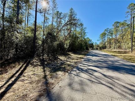 Homesite for sale in Citrus County, Florida