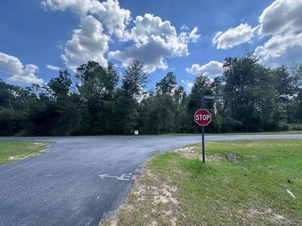 Undeveloped Land for sale in Toombs County, Georgia